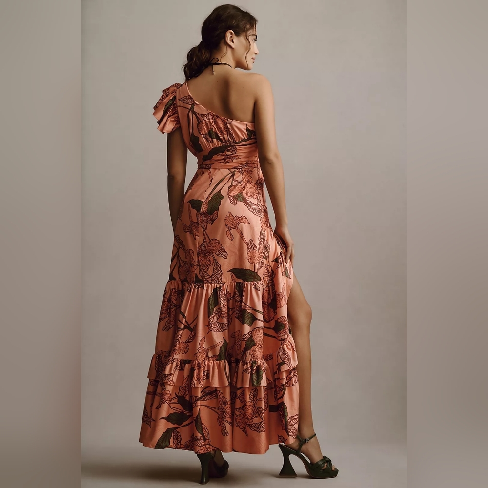Hutch One-Shoulder Ruffle Maxi Dress - Picture 5 of 6